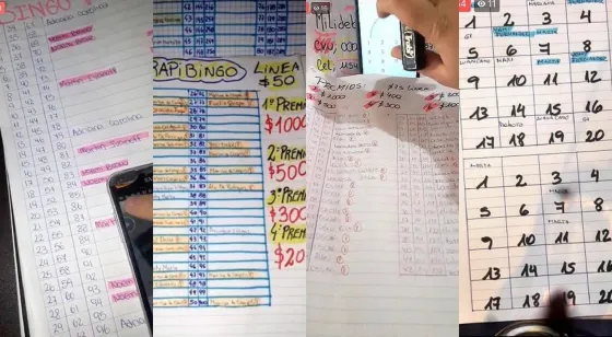 Crece la preocupación por los bingos ilegales en el interior