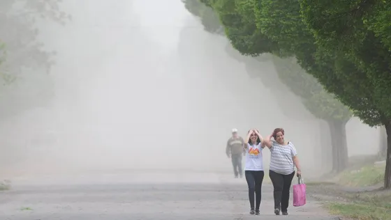 ¡A tener cuidado! Hay alerta meteorológica por viento zonda en Salta
