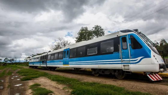 Ya se podrá viajar a Coronel Moldes en tren