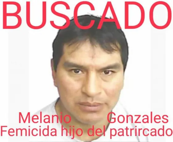 Una mujer fue asesinada a puñaladas y buscan a su expareja