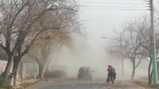 A tener cuidado: Hay alerta por zonda en Salta