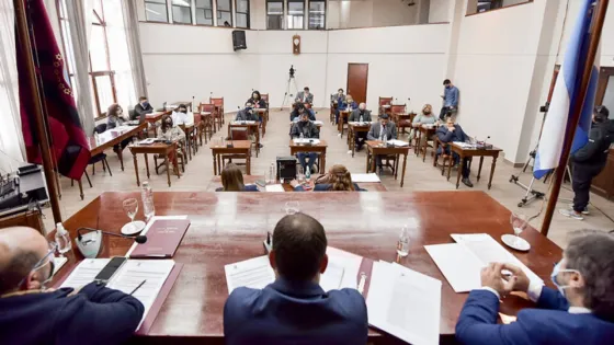 Se viene una "escuelita para concejales": sería paga y obligatoria