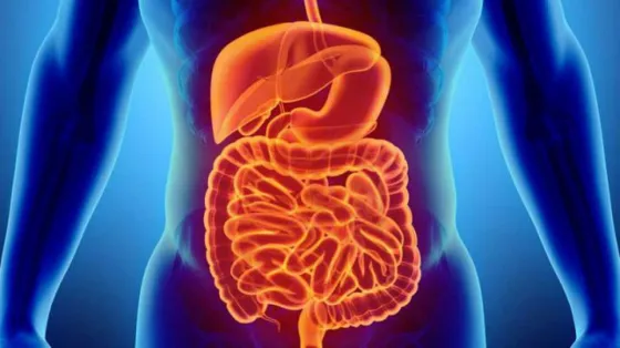 Día Mundial de la Salud Digestiva: claves que previenen los malestares