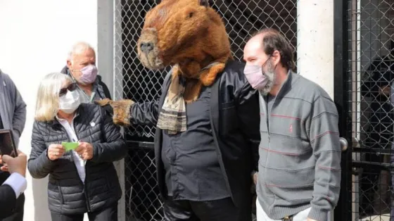 PASO 2021: votaron el Covid-19, un carpincho y otros hechos insólitos