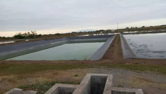 Metán: encontraron un feto en la planta depuradora de líquidos cloacales