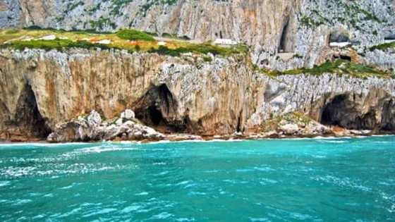 Abrieron una cámara sellada hace 40 mil años en una cueva: qué hallaron dentro