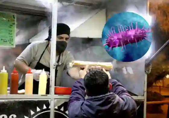 Tras la alza de casos, la salmonella ya es un brote endémico en Salta