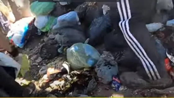 Video: En Mar del Plata hubo una valancha sobre camión de basura para buscar comida