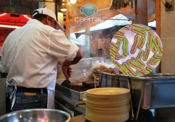 Preocupante aumento de casos de Salmonella: cómo prevenirla