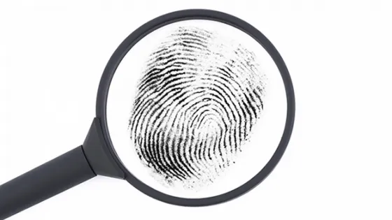 Delincuente entró a robar a una casa en San Remo: fue atrapado a partir de sus huellas dactilares