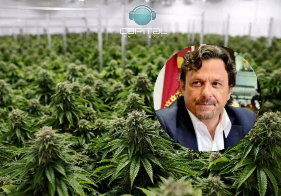 Sáenz habló sobre el cannabis medicinal en Salta: "No nos vamos a quedar atrás"
