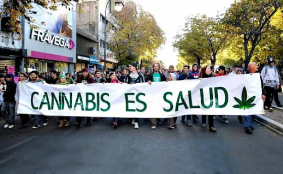 El Gobierno oficializó el proyecto de investigación sobre cultivo de cannabis
