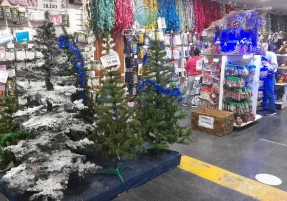¿Cuánto cuesta armar el arbolito de Navidad en Salta?