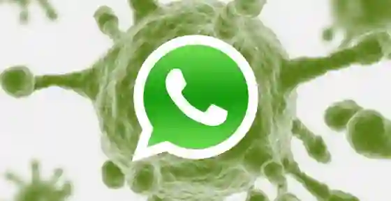 A tener cuidado: Empezó a circular un virus por WhatsApp en Salta