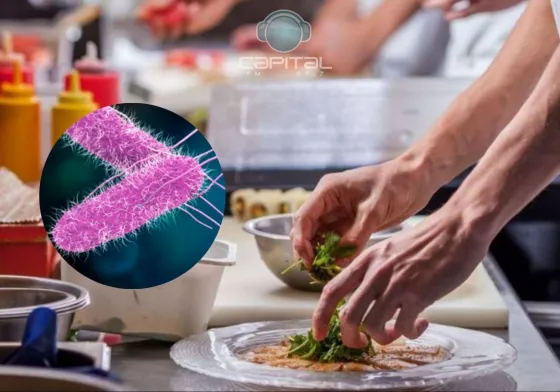 Brote de salmonella en Salta: registran hasta 20 casos por día