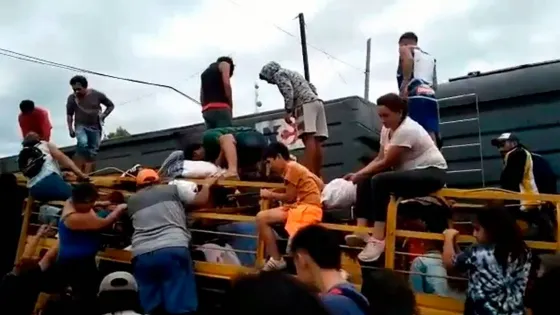 Un tren chocó un camión con vacas y los vecinos faenaron a los animales en el lugar