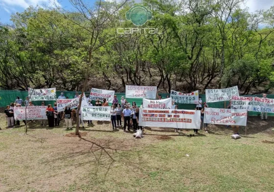 "El cerro no se toca": La Muni no permitió los demontes en Tres Cerritos