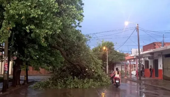 Fuertes tormentas en Orán dejan dos heridos
