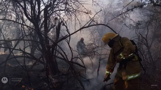 Se sofocó el incendio forestal en Rivadavia Banda Sur