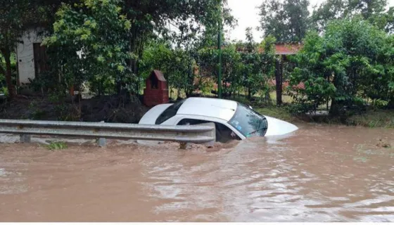 Lo que la lluvias nos dejó: cortes de ruta, caída de arboles y un auto arrastrado por el agua