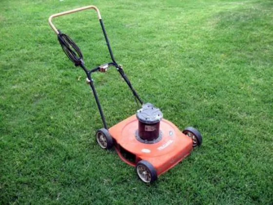 Detuvieron a un hombre que había robado una máquina de cortar césped