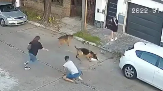 Un ovejero alemán atacó y mató a un caniche que paseaba junto a su dueña