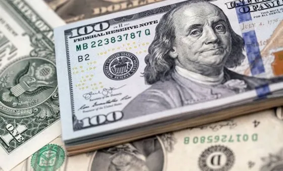 Puede haber una suba "suave" del dólar durante esta semana