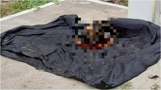 Encontraron un ritual satánico en Gral. Mosconi: nadie se quería acercar