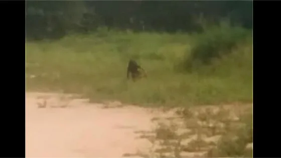 SON REALES apareció un duende mientras unos nenes jugaban al fútbol en el límite de Salta. Mirá el video