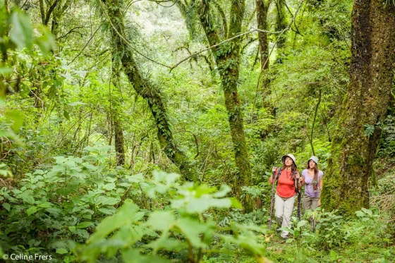 Tres turistas se extraviaron en la Quebrada de San Lorenzo y tuvieron que ser rescatadas