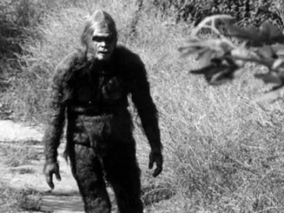 Aseguran que vieron al "Ukumar" paseando por Salta