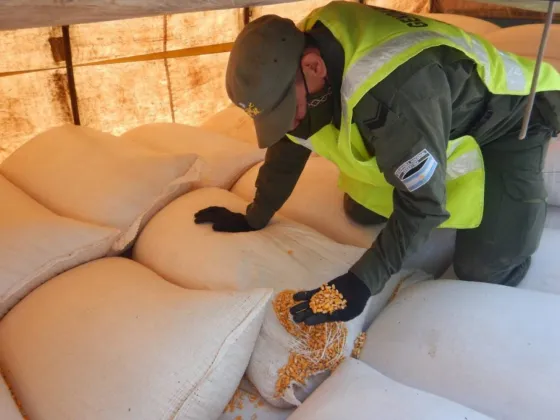 Dos camiones transportaban 62 toneladas de granos sin aval legal