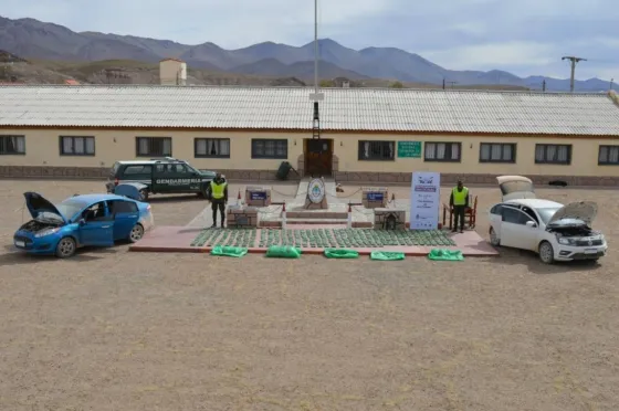 Decomisaron más de una tonelada de hojas de coca en dos procedimientos