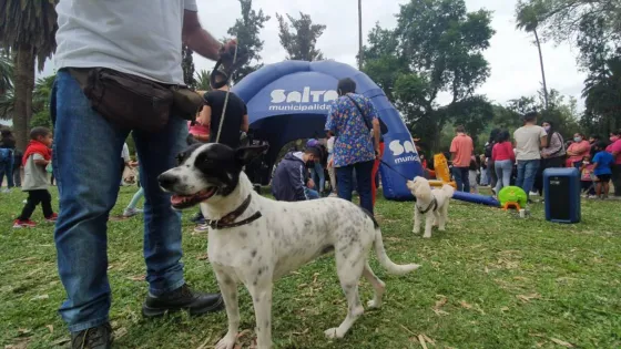 Día del Animal: organizan actividades municipales alusivas a la fecha