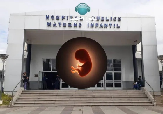 Terror en el Materno Infantil: Encontraron un freezer con fetos en descomposición de hace 10 años