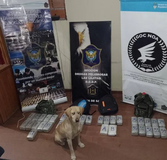 Cayó una organización trasnacional que traficaba drogas hacia la región de Cuyo