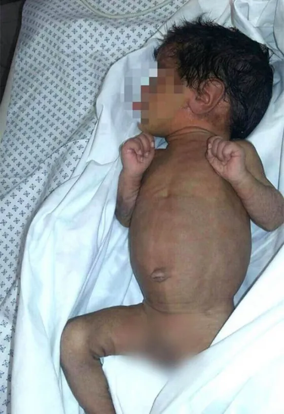 Un perro encontró a un bebe abandonado