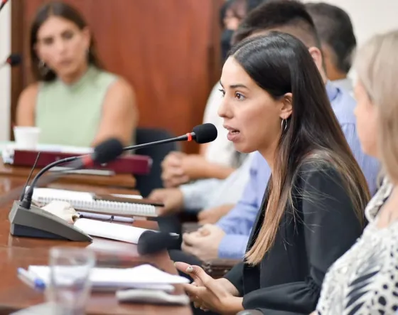 Veto al Código de Protección Acústica: "Podrían haber reglamentado la ordenanza"