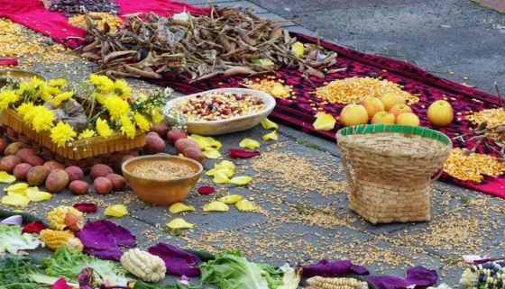 1° de agosto: ¿Por qué se sahuma el hogar?