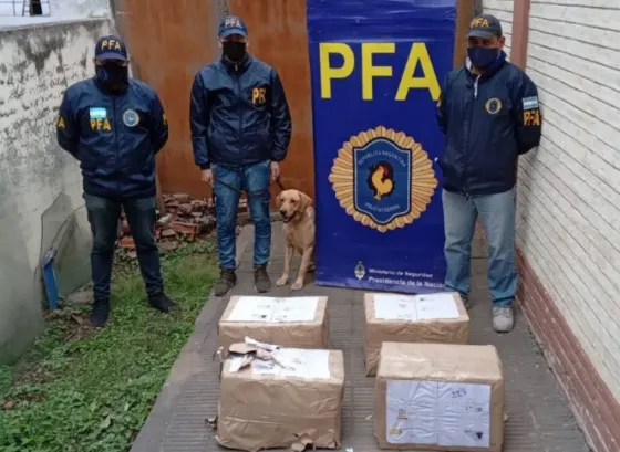 La Policía Federal secuestró marihuana en la Terminal de Ómnibus de Orán