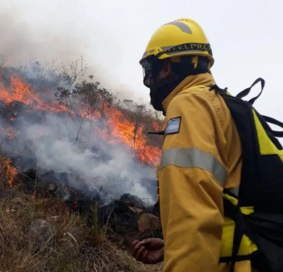 Preocupa el incendio forestal en Colonia Santa Rosa
