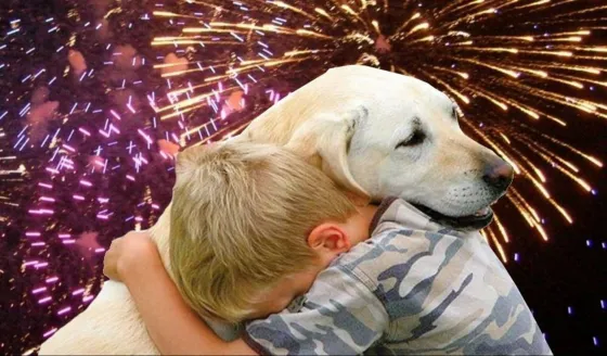 Van por la Ley de Pirotecnia Cero: "Más del 80% de los salteños la piden"