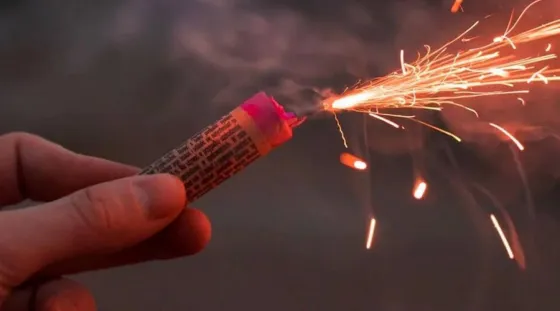 Aseguran que la Piroctenia Sonora Cero en Salta deja un "mercado para los clandestinos"