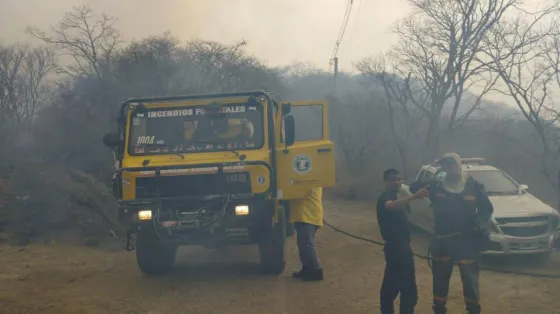 Incendio en el cerro 20 de febrero: "Estamos en alerta permanente"