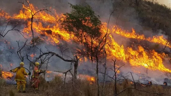 En lo que va del 2022, en Salta se perdieron 50 mil hectáreas por los incendios
