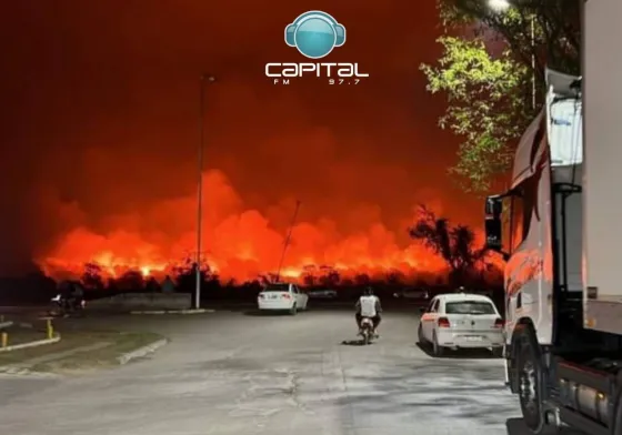Por el dramático incendio en Orán, inspeccionaron cañaverales