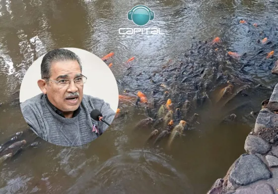 Muerte de peces en el Parque San Martín: "Eso está contaminado"