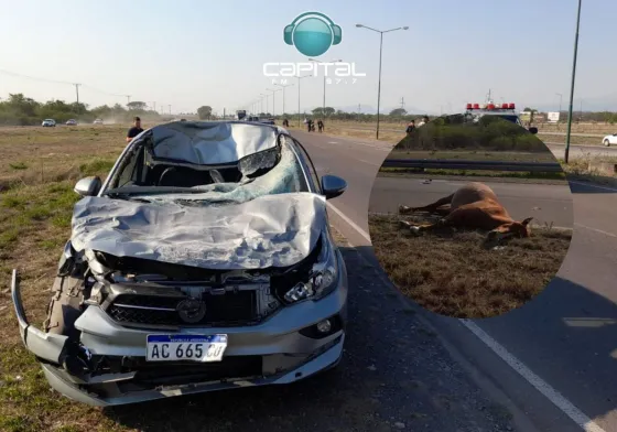 Terrible accidente: Un auto chocó contra un caballo en Circunvalación Oeste