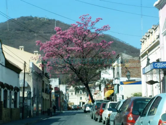 Recomendaciones por las altas temperaturas