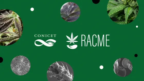 Se creó la Agencia Regulatoria de la Industria del Cáñamo y del Cannabis Medicinal